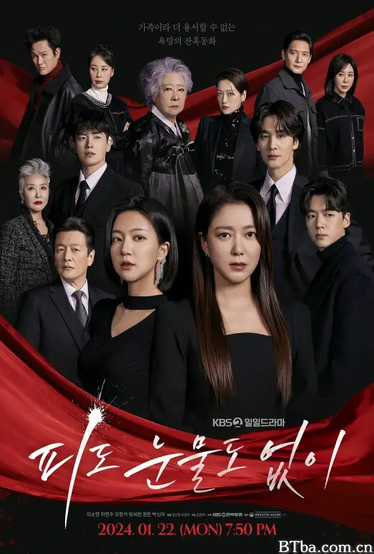 无血无泪 피도 눈물도 없이 (2024) 1080P/WEB-DL BT磁力 迅雷网盘下载