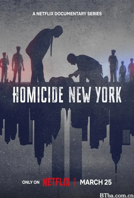 凶杀重案实录：纽约 第二季/Homicide: New York Season 2