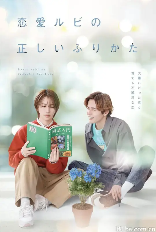 恋爱的正确标记法 恋愛ルビの正しいふりかた (2025) 1080P/WEB-DL BT磁力 迅雷网盘下载