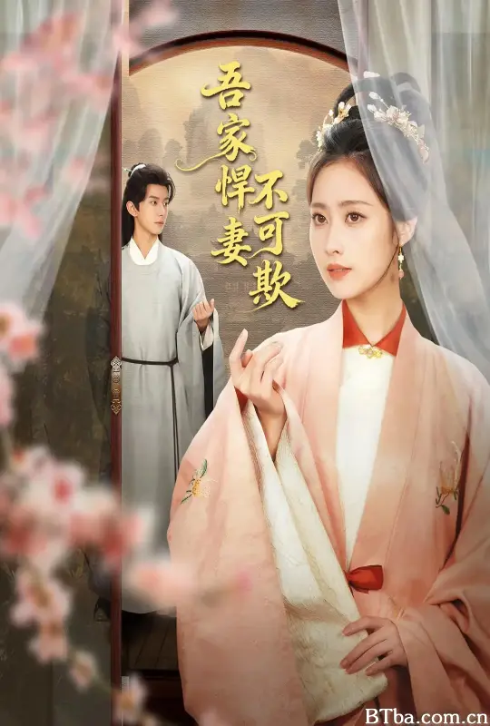 吾家悍妻不可欺