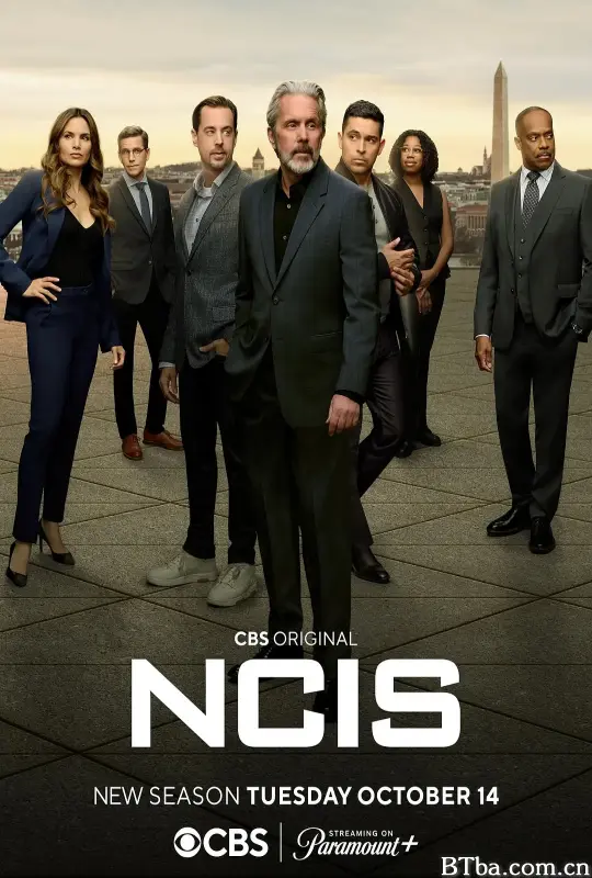 海军罪案调查处 第二十二季/NCIS: Naval Criminal Investigative Service Season 22