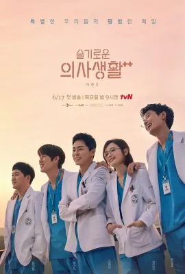 机智医生生活 第二季/슬기로운 의사생활 시즌2