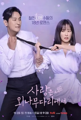 爱在独木桥/사랑은 외나무다리에서