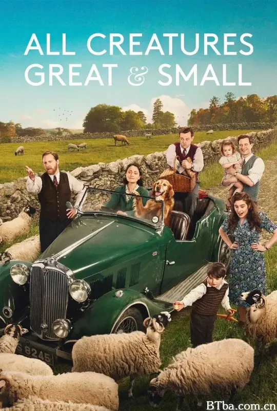 万物生灵 第六季/All Creatures Great and Small Season 6