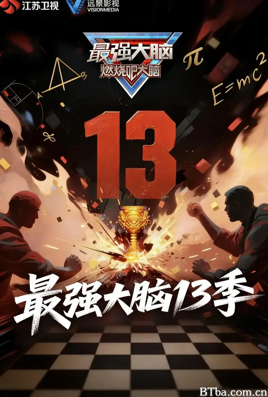 最强大脑 第十三季