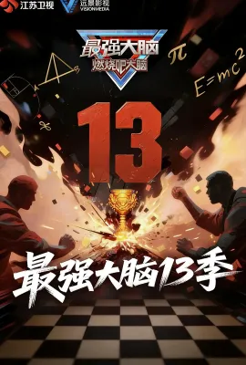 最强大脑 第十三季