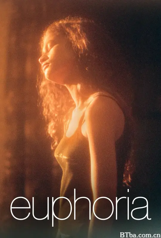 亢奋 第二季/Euphoria Season 2