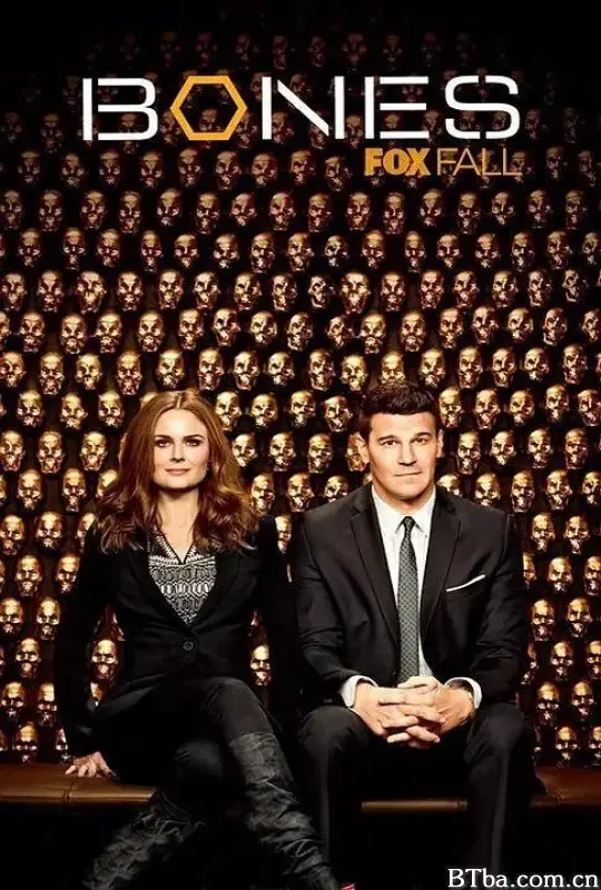 识骨寻踪 第九季/Bones Season 9