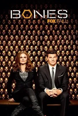 识骨寻踪 第九季/Bones Season 9