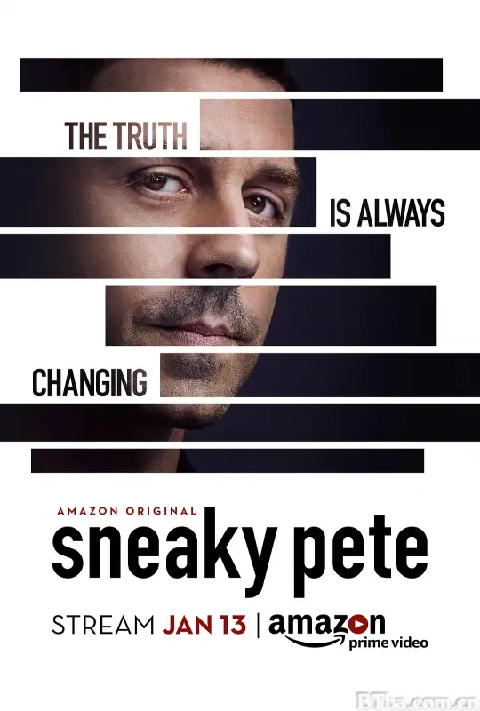 诈欺担保人 第一季/Sneaky Pete Season 1