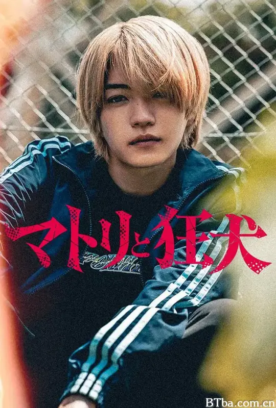 缉毒警与疯犬 (2026) 1080P/WEB-DL BT磁力 迅雷网盘下载
