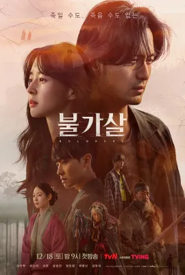 不可杀/불가살