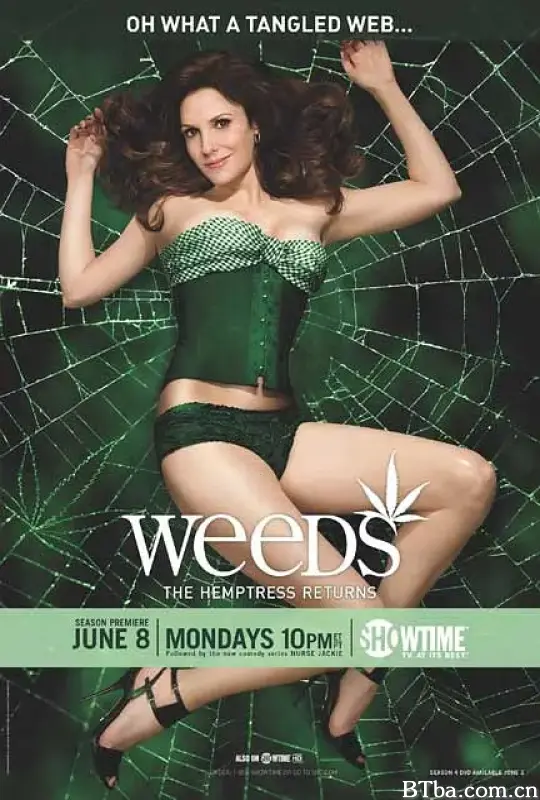 单身毒妈 第五季/Weeds Season 5