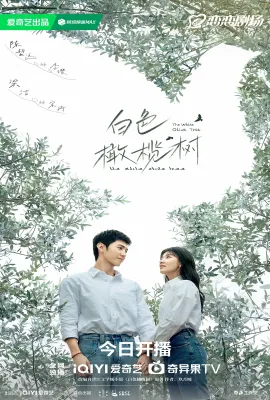 白色橄榄树