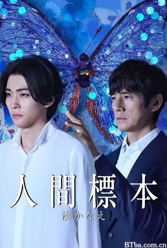 人类标本/人間標本