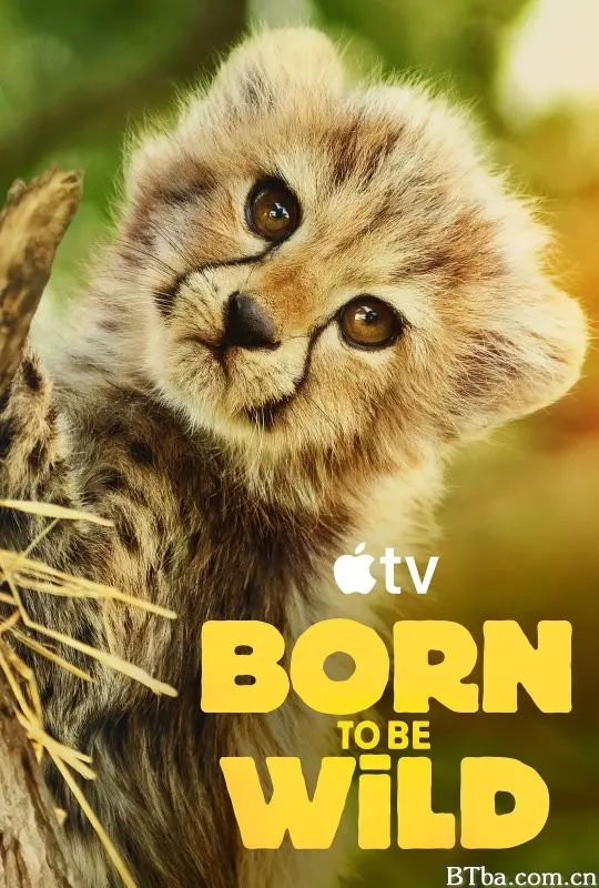 生而狂野/Born To Be Wild