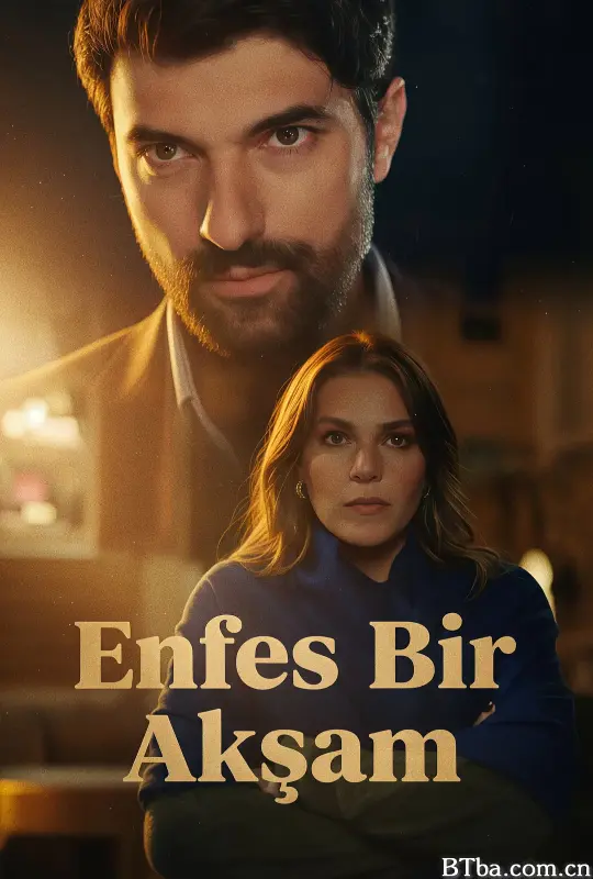 权欲阶梯 第一季/Enfes Bir Aksam 1. Sezon