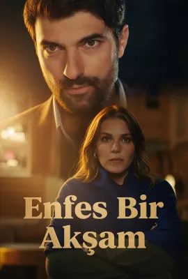 权欲阶梯 第一季/Enfes Bir Aksam 1. Sezon