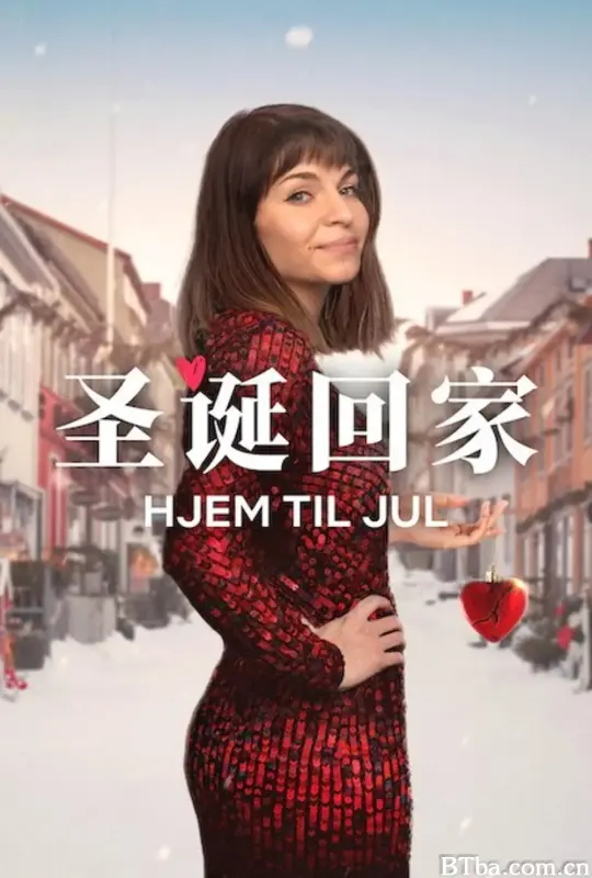 圣诞寻伴 第3季/Hjem til jul sæson 3