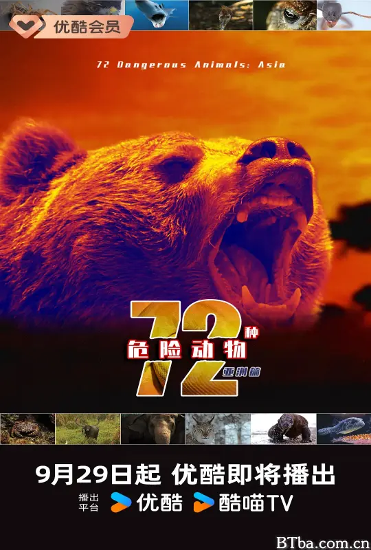 72种危险动物——亚洲篇 第一季/72 Dangerous Animals - Asia Season 1