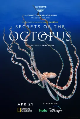 章鱼的秘密/Secrets of the Octopus