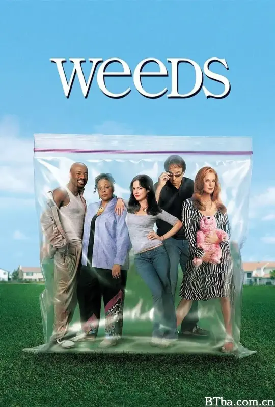 单身毒妈 第一季/Weeds Season 1