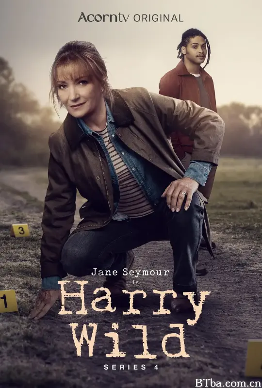 野探哈莉 第四季/Harry Wild Season 4