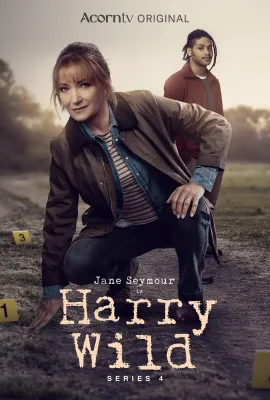 野探哈莉 第四季/Harry Wild Season 4