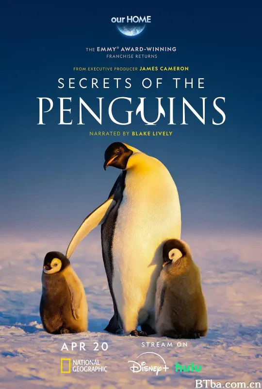 企鹅的秘密/Secrets of the Penguins