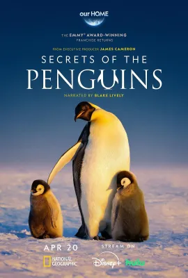 企鹅的秘密/Secrets of the Penguins