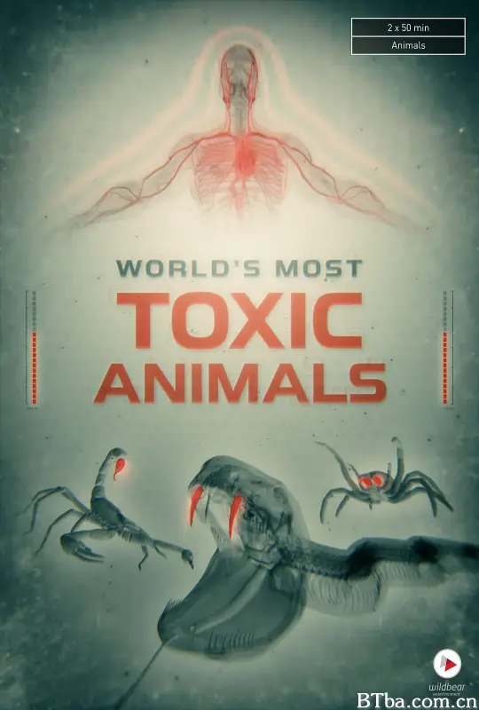 世界上最毒的动物 第一季/World's Most Toxic Animals Season 1
