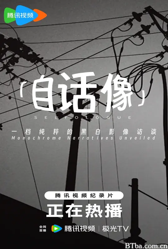 自话像 (2025) 4K/WEB-DL BT磁力 迅雷网盘下载