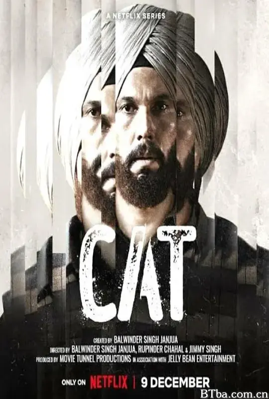 毒家线人/Cat
