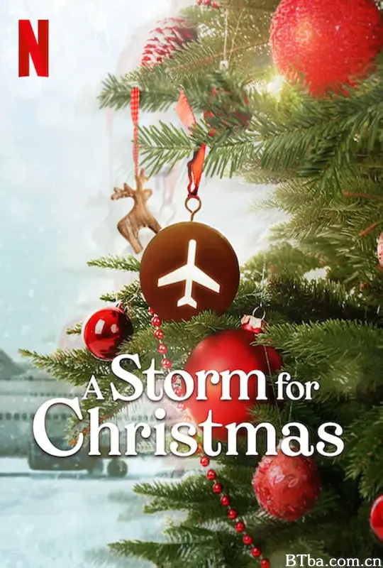 圣诞风暴/A Storm for Christmas