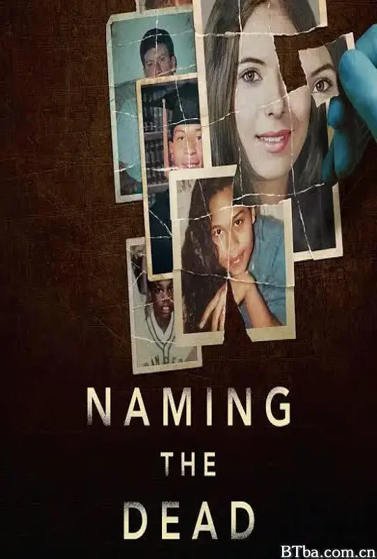 亡者之名 Naming the Dead (2025) 1080P/4K BT磁力 迅雷网盘下载