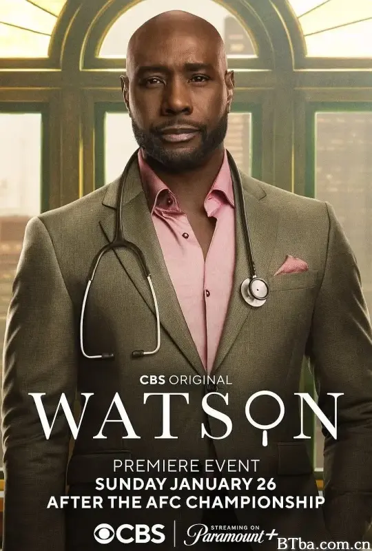 华生 第一季/Watson Season 1