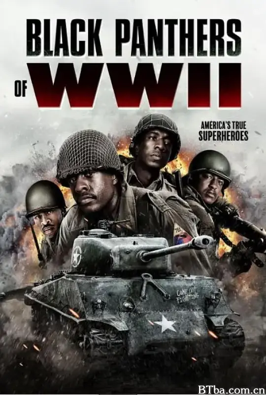 二战黑豹 Black Panthers of WWII (2025) 1080P BT磁力 迅雷网盘下载