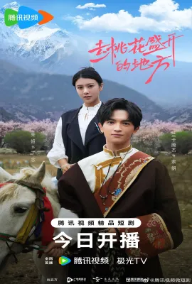 去桃花盛开的地方