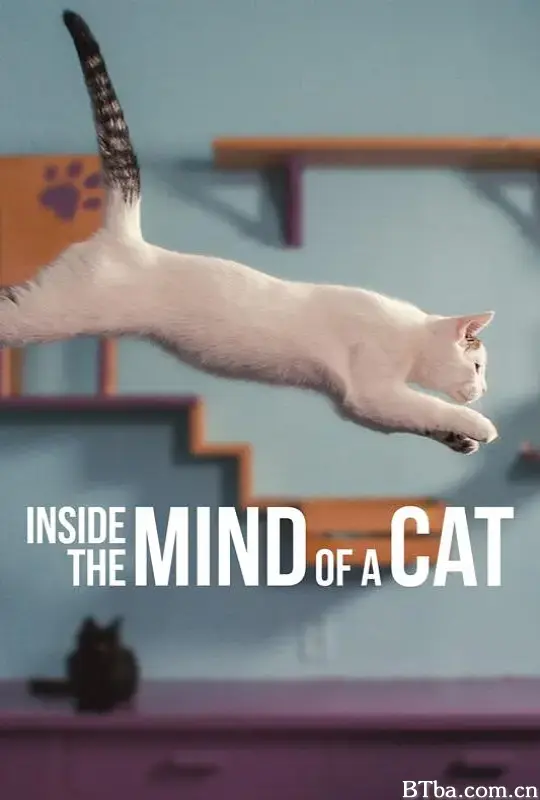 喵星人的奇思妙想/Inside the Mind of a Cat