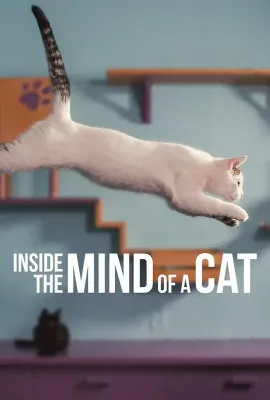 喵星人的奇思妙想/Inside the Mind of a Cat