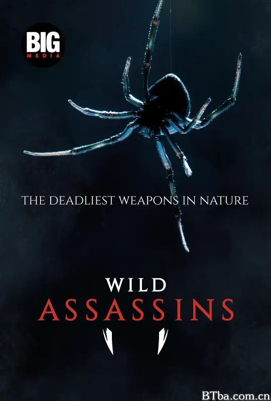 荒野刺客 第一季/Wild Assassins Season 1