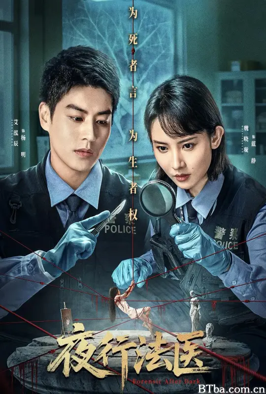 夜行法医 (2025) 1080P/4K BT磁力 迅雷网盘下载
