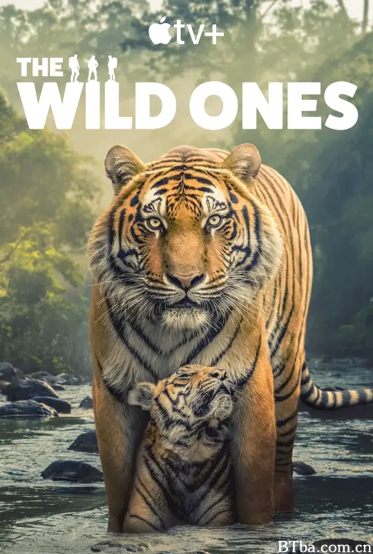 野性生灵/The Wild Ones