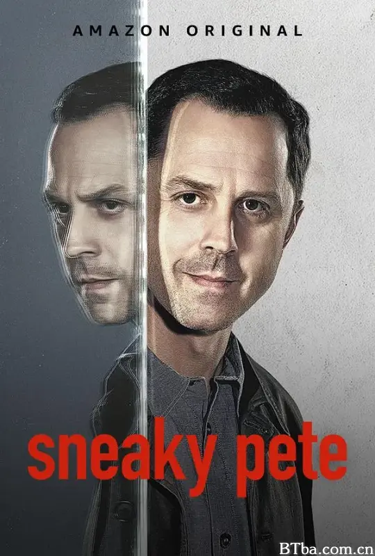 诈欺担保人 第三季/Sneaky Pete Season 3