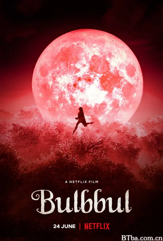 童养媳之谜/Bulbbul