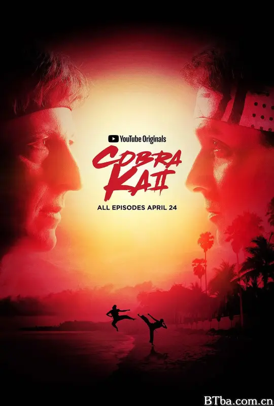 眼镜蛇 第二季/Cobra Kai Season 2