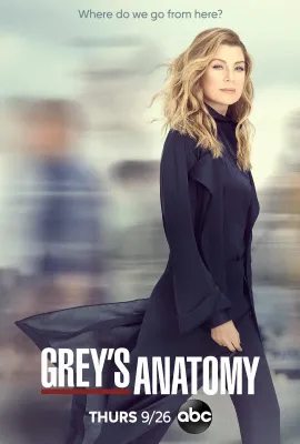 实习医生格蕾 第十六季/Grey's Anatomy Season 16