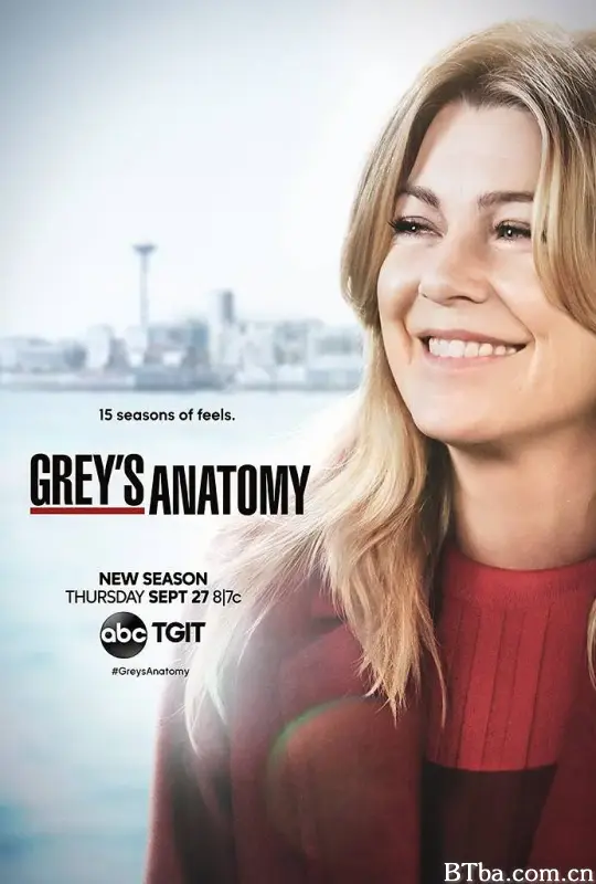 实习医生格蕾 第十五季/Grey's Anatomy Season 15