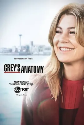实习医生格蕾 第十五季/Grey's Anatomy Season 15