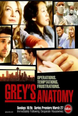实习医生格蕾 第一季/Grey's Anatomy Season 1
